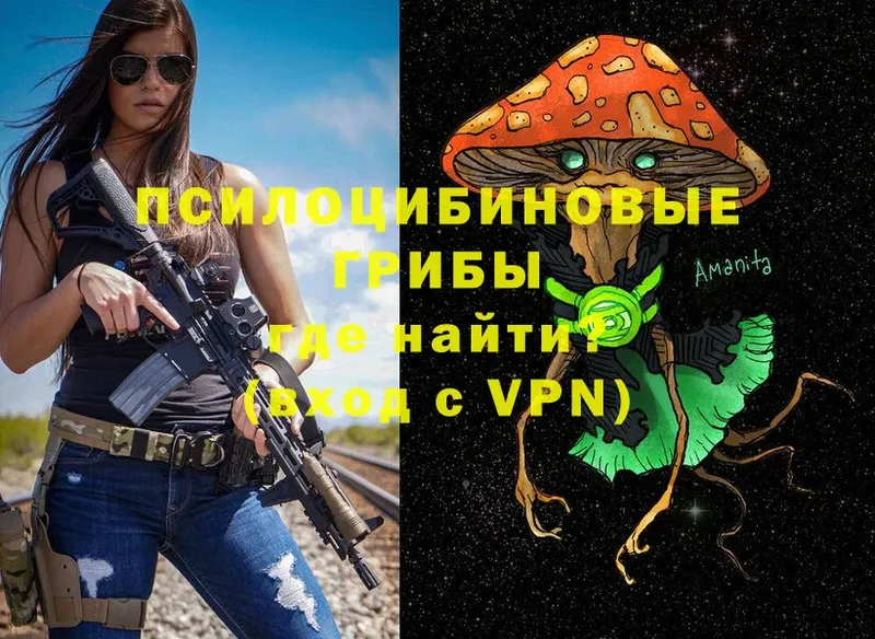 Псилоцибиновые грибы Psilocybe  Нефтеюганск 